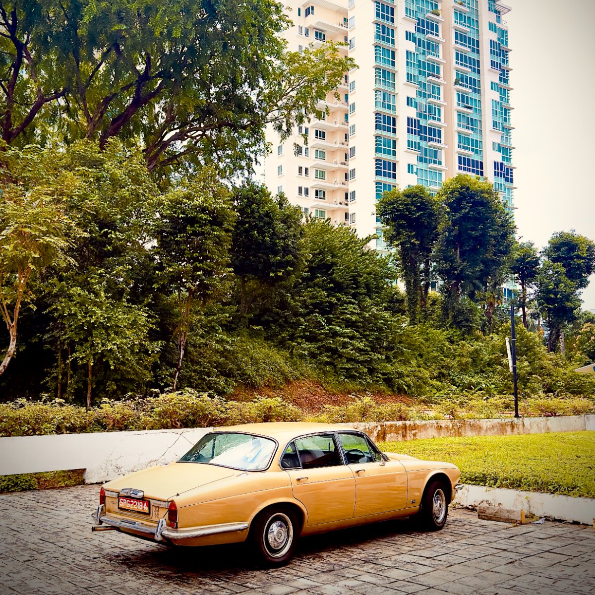 XJ6 rear three-quarter beneath a condo tower